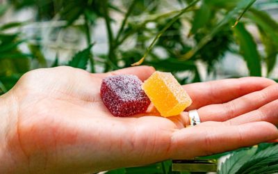 Edibles 101: The Complete Guide to Cannabis Dosage, Onset Time, and Safe Consumption