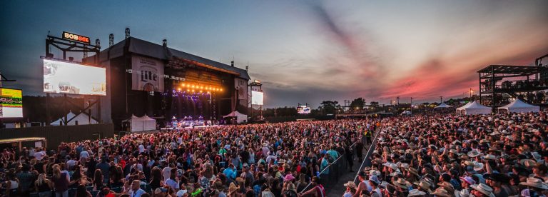 We Fest 768x276